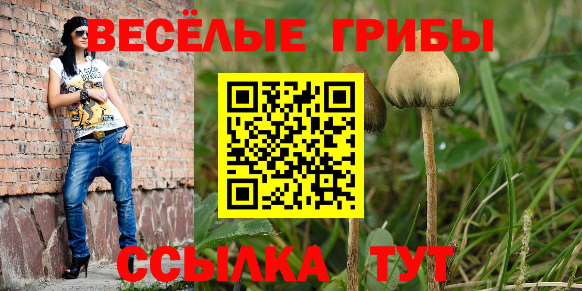 Галлюциногенные грибы мухоморы Верхняя Салда