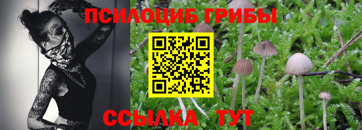 Галлюциногенные грибы Psilocybe  Галлюциногенные грибы Psilocybe  Верхняя Салда  Вход с VPN 